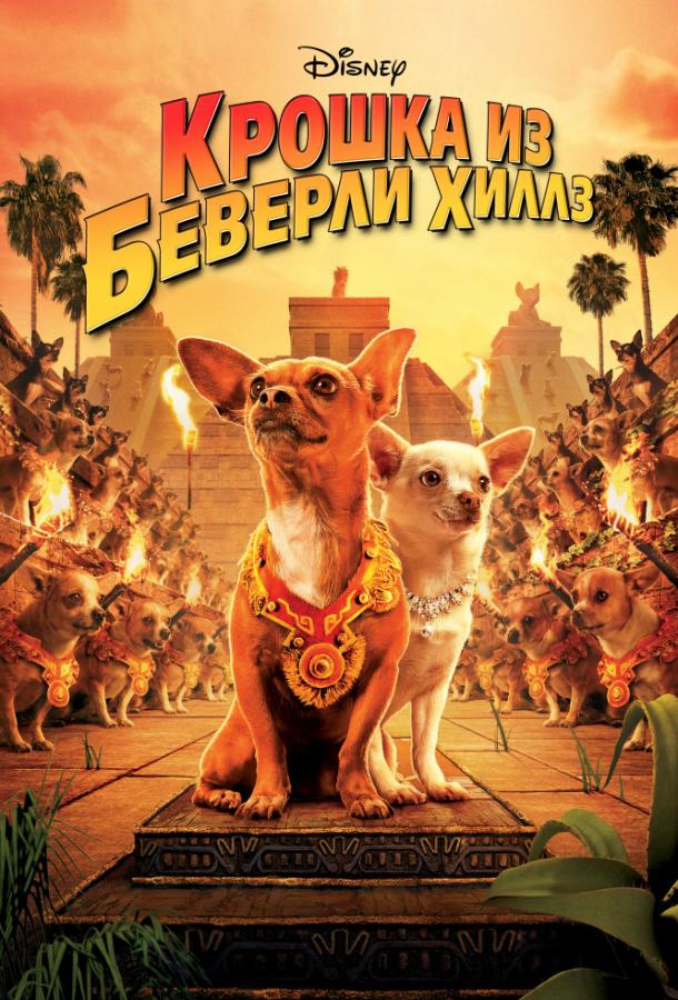 Крошка из Беверли-Хиллз 2008 Смотреть Онлайн Бесплатно в Хорошем Качестве